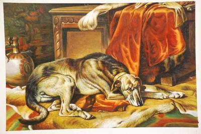 unknow artist Dog 031 Germany oil painting art